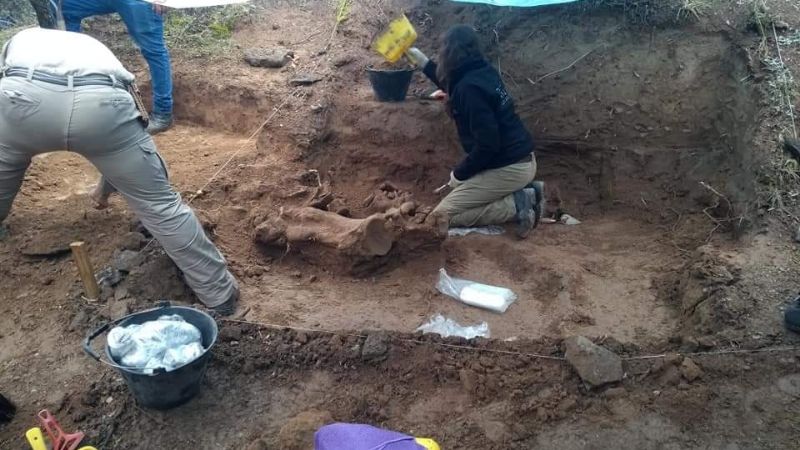 Hallazgo y rescate de restos fósiles en Anjuli, La Paz
