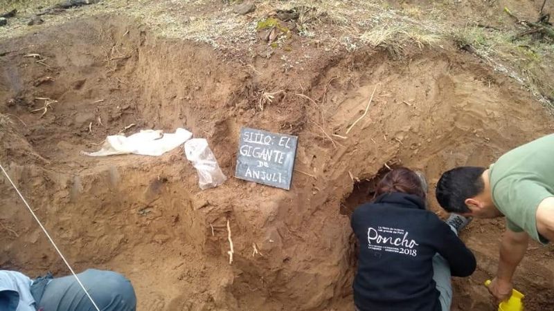 Hallazgo y rescate de restos fósiles en Anjuli, La Paz