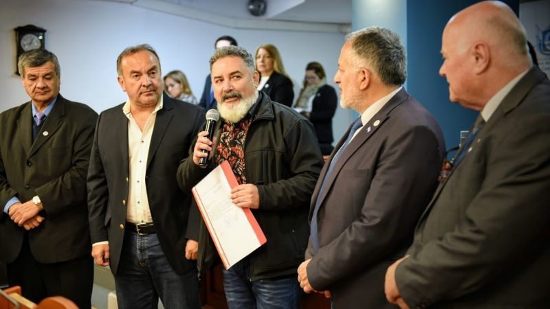 Declaraciones de interés de la sesión de Senadores