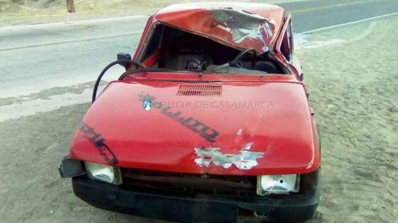 Joven herido tras chocar con un animal en la ruta 40