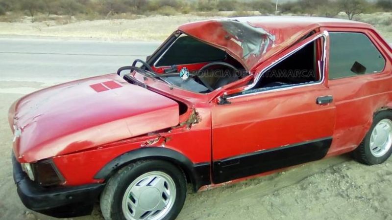 Joven herido tras chocar con un animal en la ruta 40