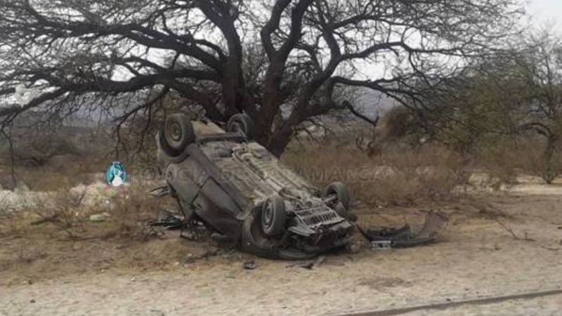 Volcó y chocó contra un árbol en la ruta 40