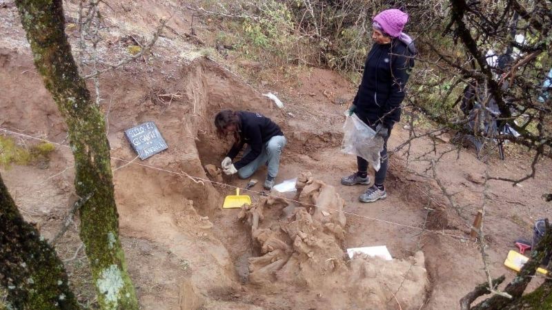 Hallazgo y rescate de restos fósiles en Anjuli, La Paz