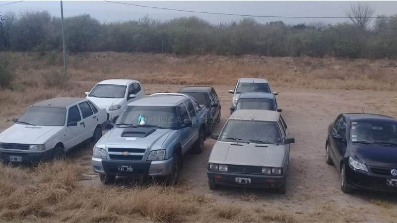 Secuestran más de 300 vehículos en los puestos camineros