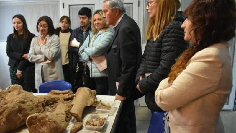 Mejoras, nuevos laboratorios y reserva de Antropología