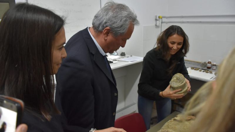 Mejoras, nuevos laboratorios y reserva de Antropología
