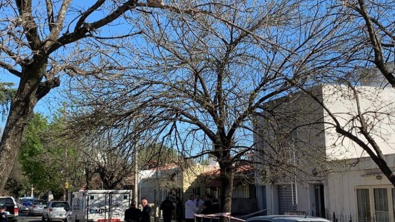 En un ataque de ira, asesinó y descuartizó a su hermana