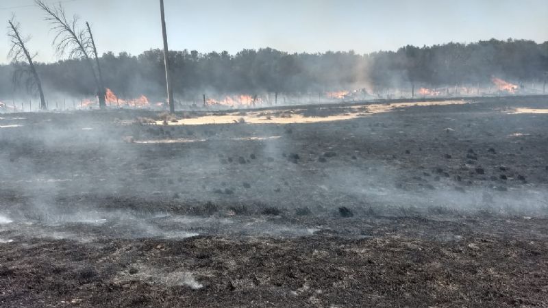 Combaten incendio de pastizales en la ruta 38