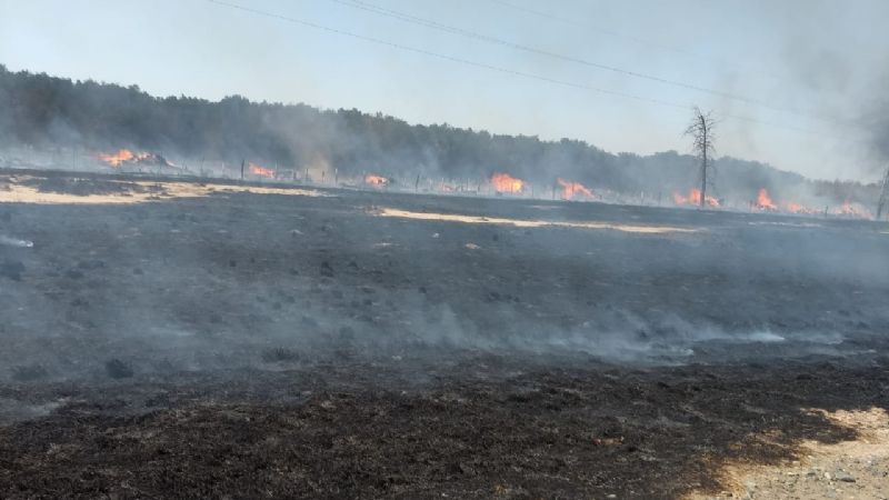 Combaten incendio de pastizales en la ruta 38