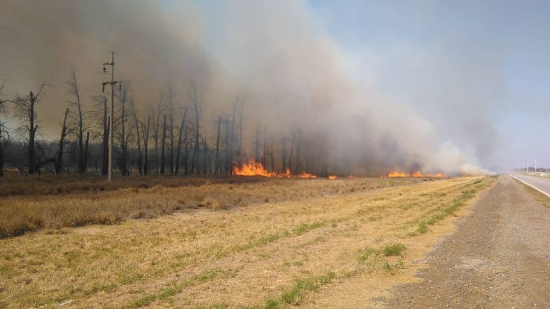 Combaten incendio de pastizales en la ruta 38