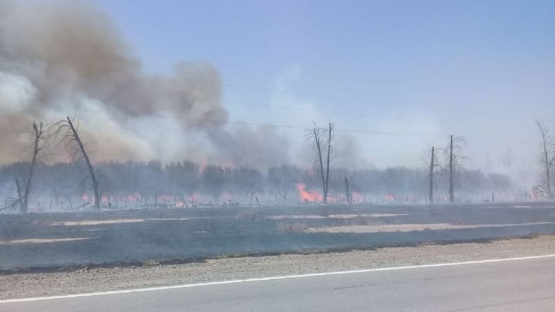 Combaten incendio de pastizales en la ruta 38