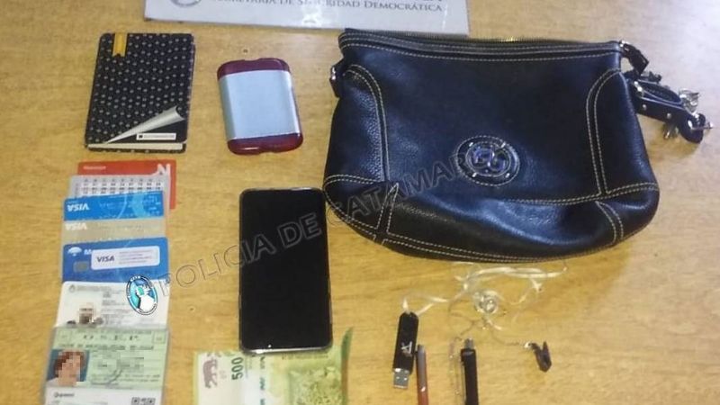 Ingresó a la casa de una jubilada para robarle la cartera