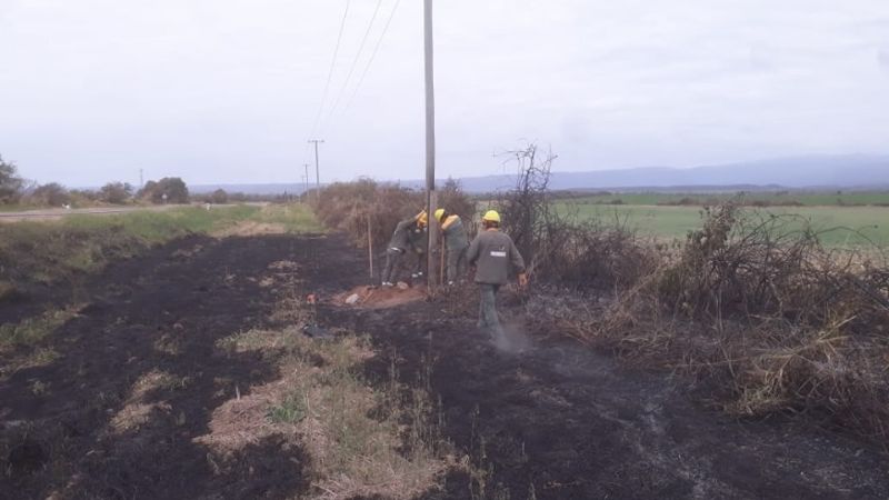 Incendio de pastizales afectó el servicio de energía en el Este