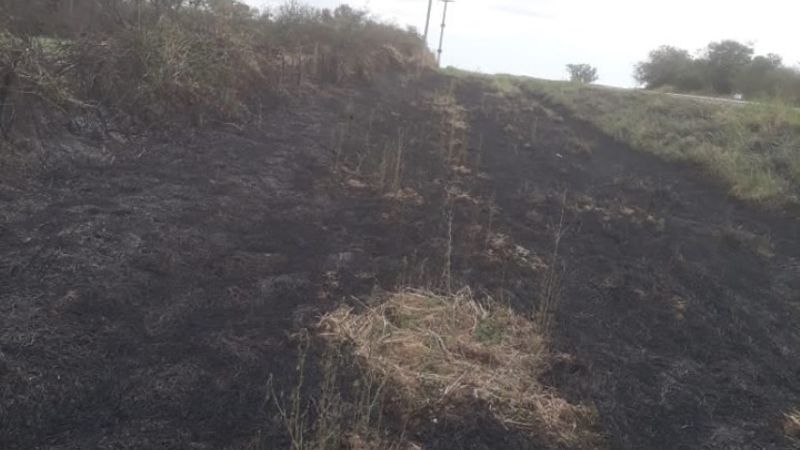 Incendio de pastizales afectó el servicio de energía en el Este