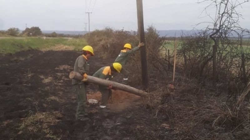 Incendio de pastizales afectó el servicio de energía en el Este