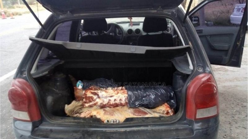 Llevaba 100 kilos de carne en el baúl del auto