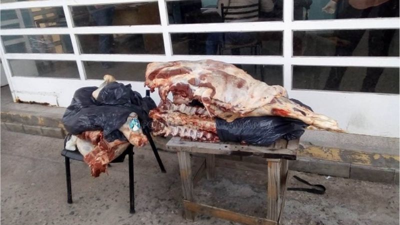 Llevaba 100 kilos de carne en el baúl del auto