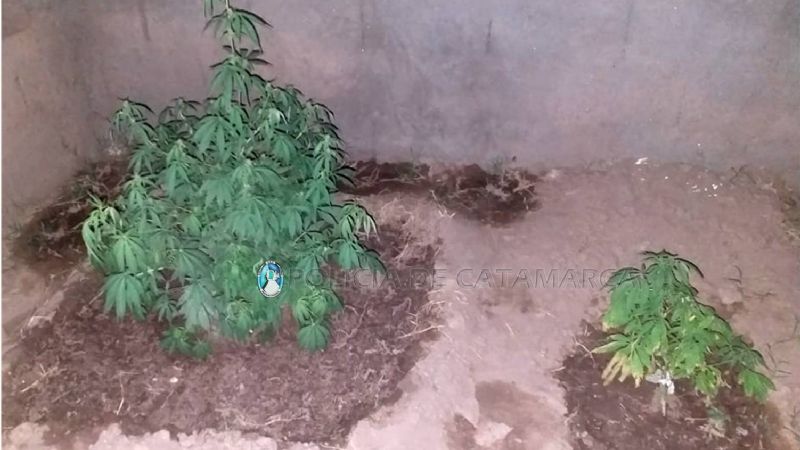 Secuestran droga, un arma de fuego y detienen a un hombre