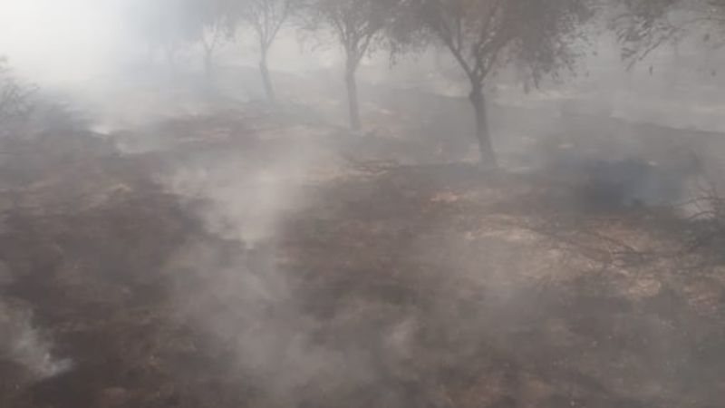 Se registraron cuatro incendios de pastizales en las últimas horas