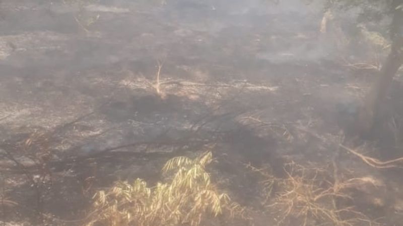 Se registraron cuatro incendios de pastizales en las últimas horas
