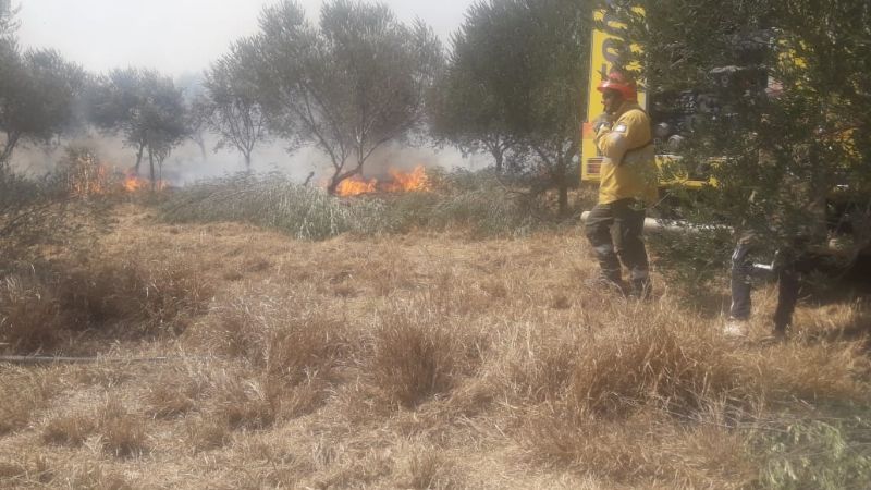Se registraron cuatro incendios de pastizales en las últimas horas