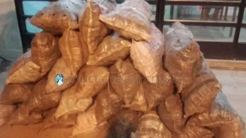 Secuestran bolsas de carbón en un puesto caminero de Capayán