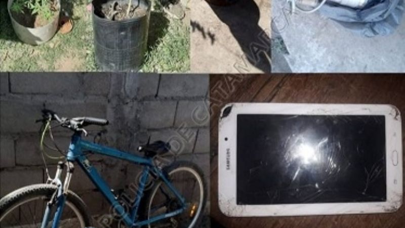 Fueron por cosas robadas y encontraron plantines de marihuana