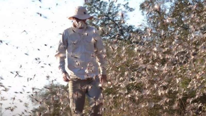 Gritos de bronca de productores tras las pérdidas