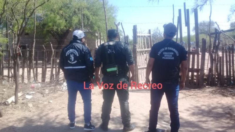 Allanamientos y secuestro de droga en Recreo