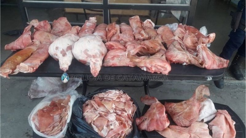 Secuestran 200 kilos de carne de cerdo