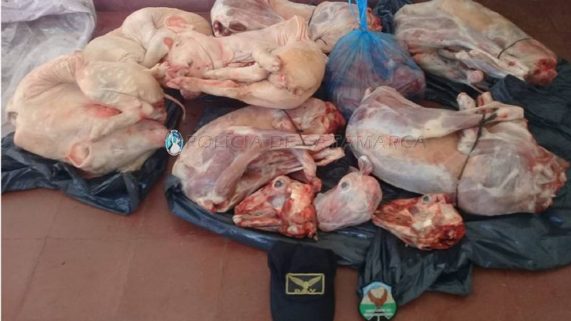 Secuestran lechones y corderos faenados