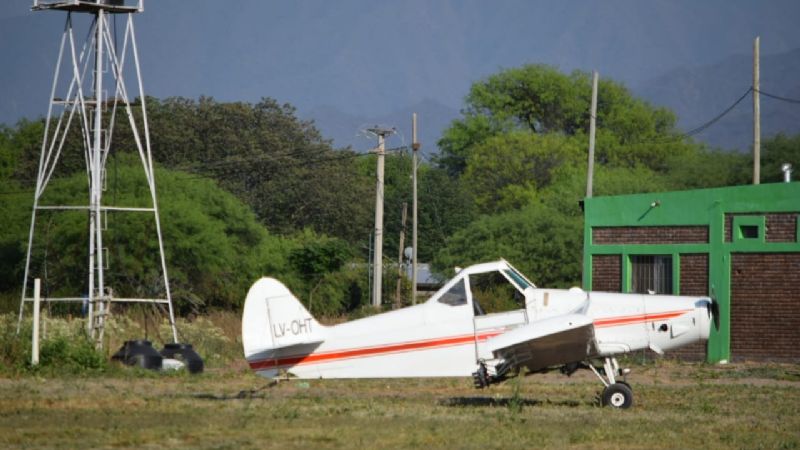 Las langostas se salvaron gracias a la inoperancia del Estado