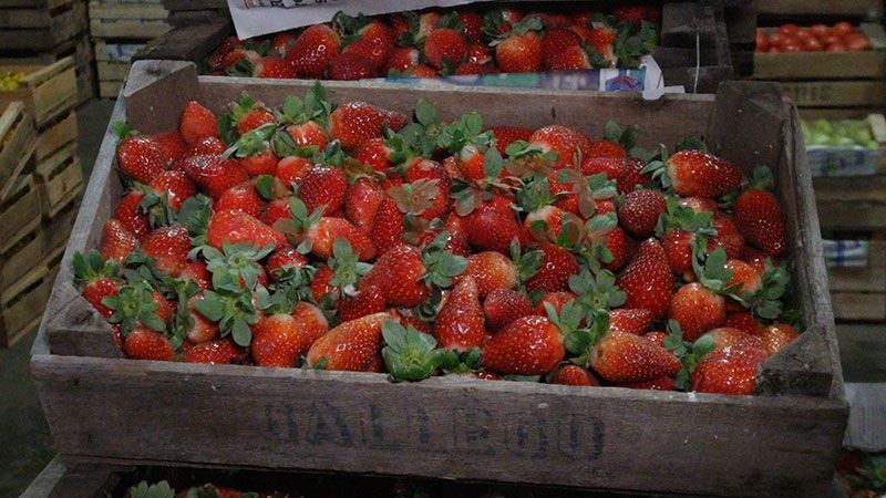 Aprehenden a un joven por robar un cajón de frutillas en Valle Viejo