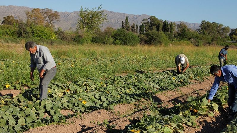 Cronograma de pagos para trabajadores rurales