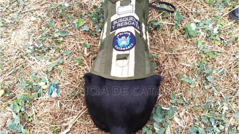 Excelentes calificaciones de Athos y su guía en competencia mundial en Francia