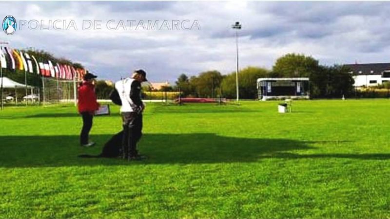 Excelentes calificaciones de Athos y su guía en competencia mundial en Francia