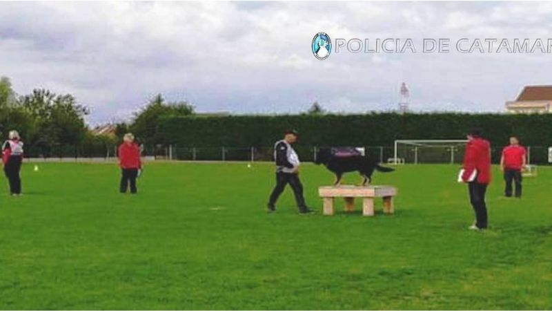 Excelentes calificaciones de Athos y su guía en competencia mundial en Francia