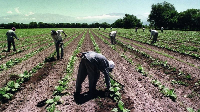 Cronograma de pago a trabajadores rurales