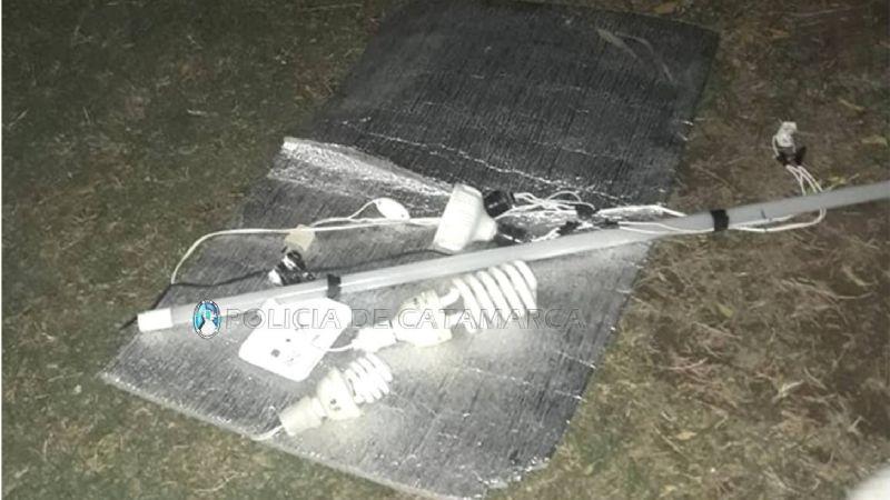 Encuentran un vivero artificial y secuestran una planta de marihuana