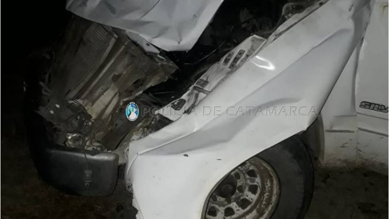 Chocó con un animal en la ruta