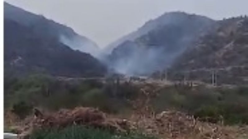 Combaten incendio forestal en la Quebrada de Moreira