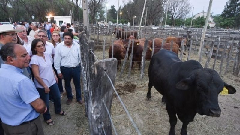 Corpacci lanzó la segunda etapa del Plan Toro
