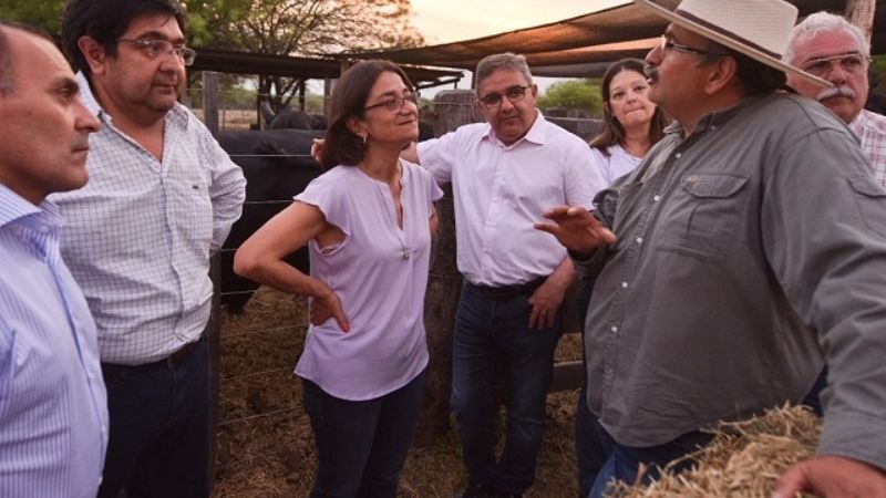 Corpacci lanzó la segunda etapa del Plan Toro