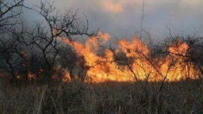 Cifras en ascenso: en agosto hubo más de 100 incendios
