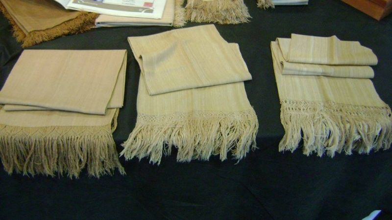 Camélidos y fibras en la Expo Productiva 2019