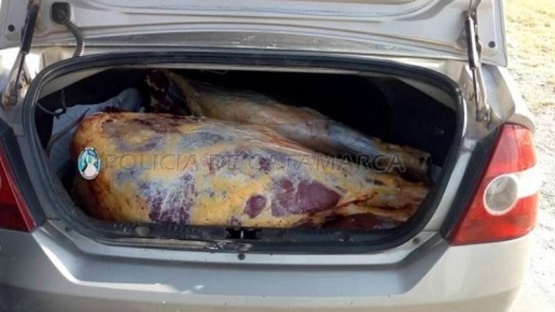 Llevaba 235 kilos carne en el baúl del auto