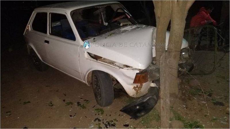 Chocó contra un árbol