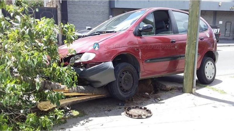 Perdió el control y chocó contra un árbol
