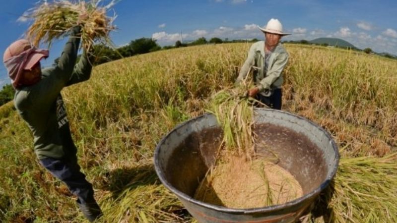 Economías regionales reclaman que las retenciones no superen el 5%