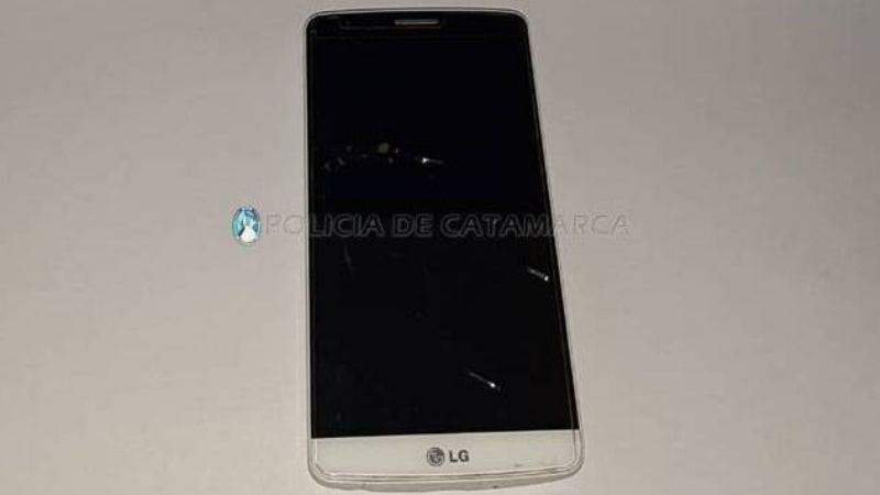 Dos detenidos por el robo de un celular